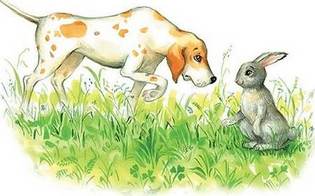 Собака и заяц