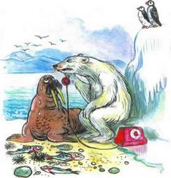 Телефон белый медведьи морж север полюс