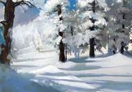 Волшебница-зима