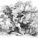 olen-i-vinogradnik