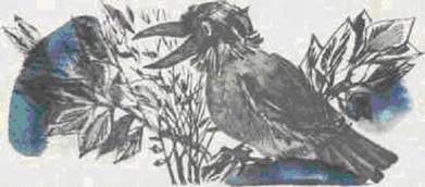 Сказочка про Воронушку - чёрную головушку и жёлтую птичку Канарейку
