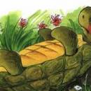 Сказка о перевёрнутой черепахе