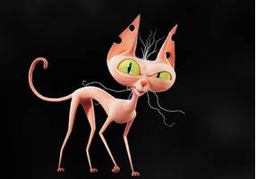chto koshka o sebe voobrazila