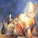 Носорог и добрая фея