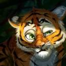Сказка про тигрицу Барчу и тигрёнка Ачу