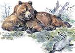 Барсук и Медведь