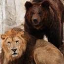 Лев и медведь