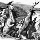 Мстительный конь и олень