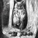 Мыши и сова