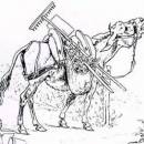 Недовольный осел