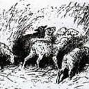 Ничего лишнего