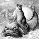 Обезьяна и дельфин