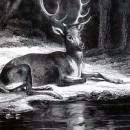 Олень и его отражение