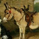 Осел и собака