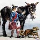 Осел и собака