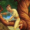 Разбойник и тутовое дерево