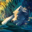 Щенок и лягушки