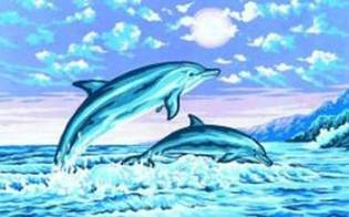 Тунец и дельфин