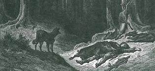 Волк и охотник
