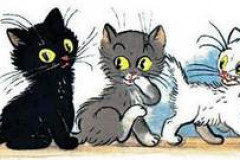 рассказ Три котёнка читать